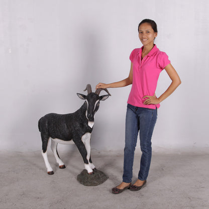 Black Billy Goat Statue