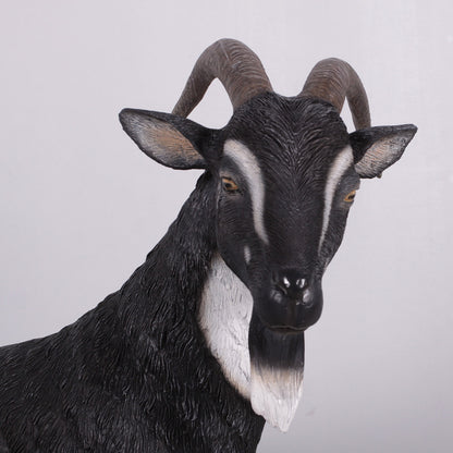 Black Billy Goat Statue