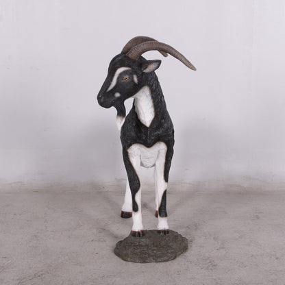 Black Billy Goat Statue