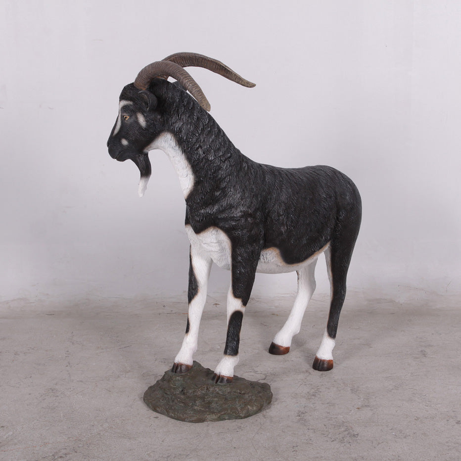 Black Billy Goat Statue