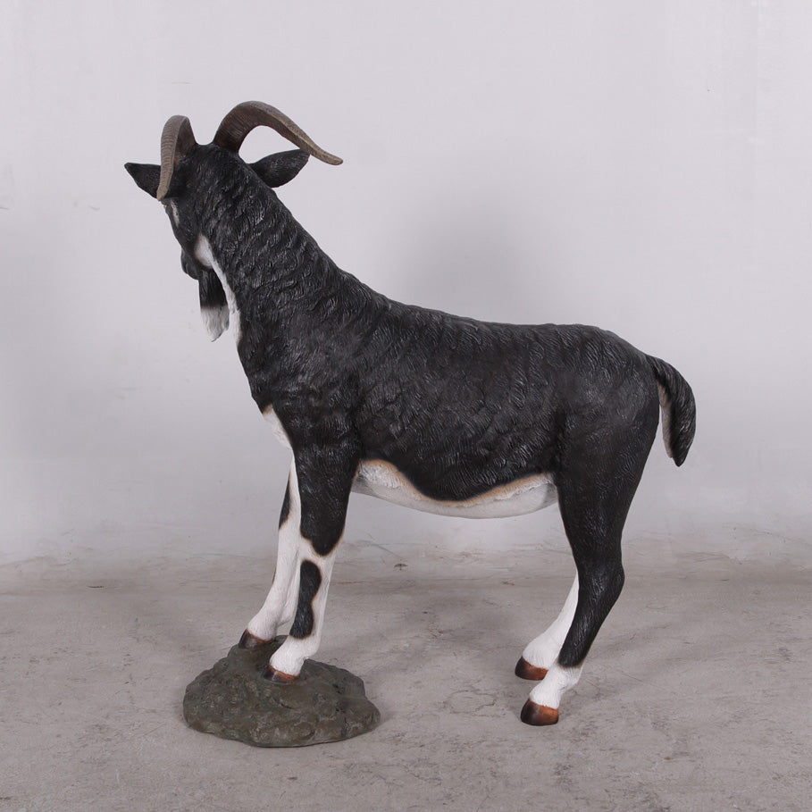 Black Billy Goat Statue