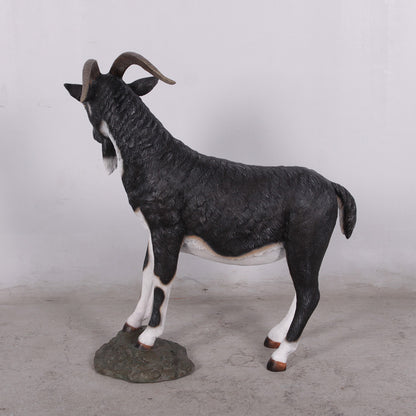 Black Billy Goat Statue