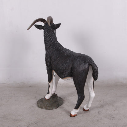 Black Billy Goat Statue