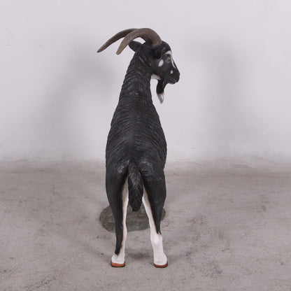 Black Billy Goat Statue