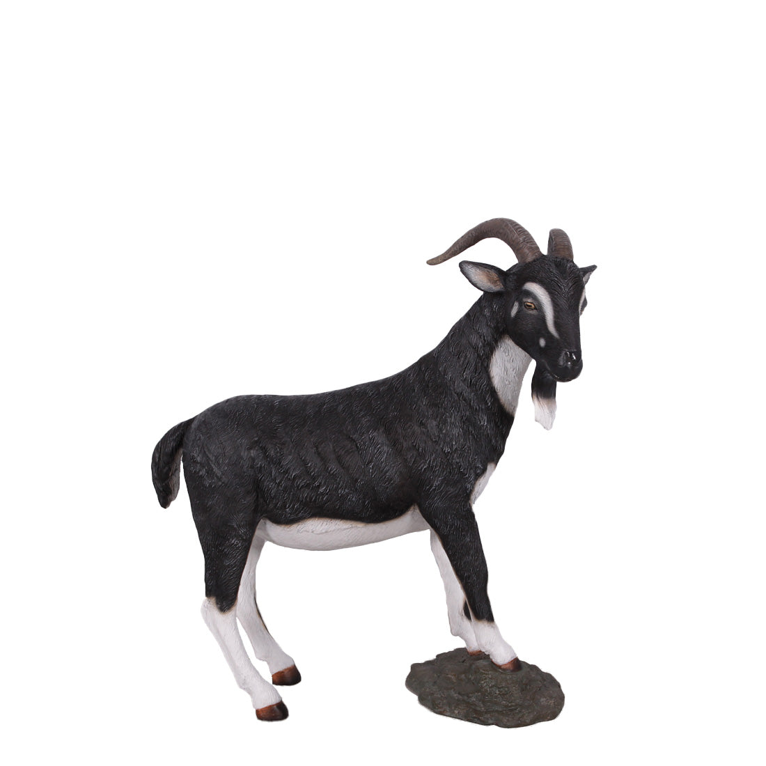 Black Billy Goat Statue