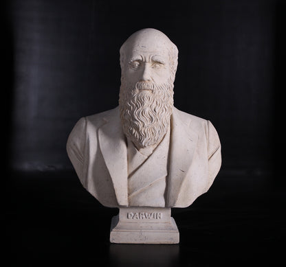 Darwin Stone Bust Statue