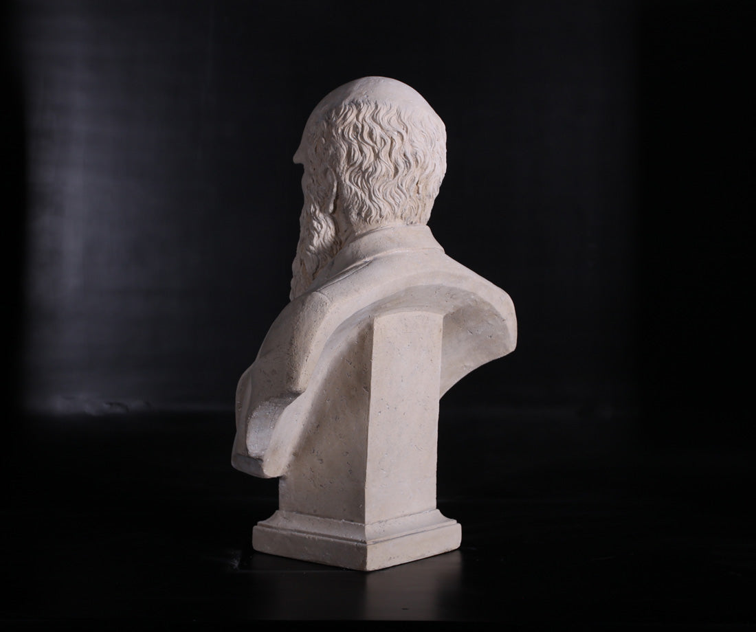 Darwin Stone Bust Statue