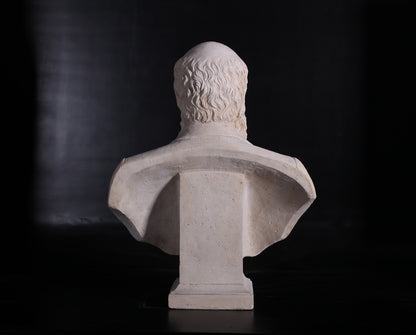 Darwin Stone Bust Statue