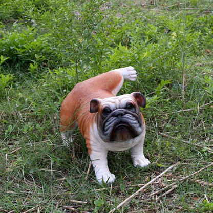 Bulldog Peeing Life Size Statue