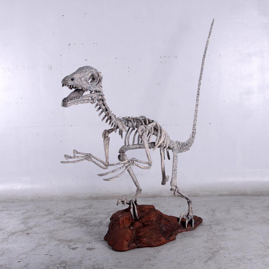 Deinonychus Dinosaur Skeleton Statue