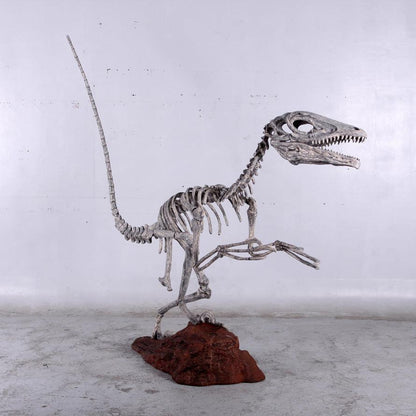 Deinonychus Dinosaur Skeleton Statue