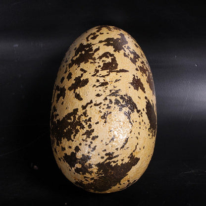 Small Theropod Dinosaur Egg Statue