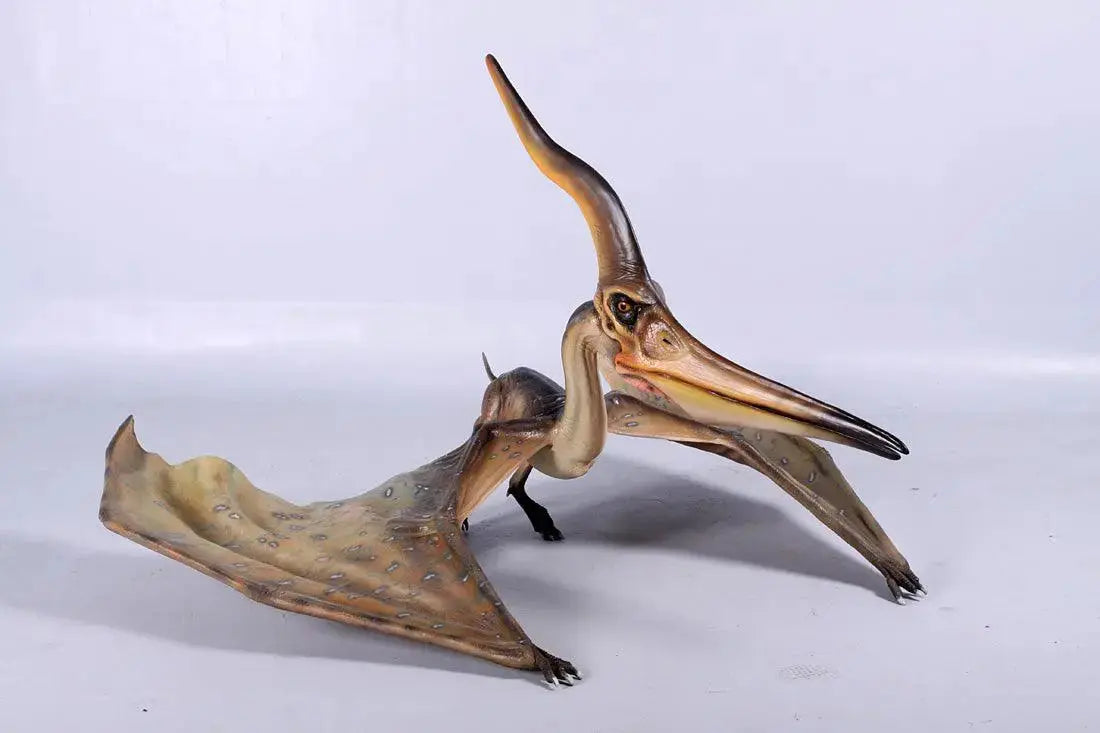 Standing Pteranodon Ingens Dinosaur Statue A0475-140072-H