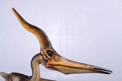 Standing Pteranodon Ingens Dinosaur Statue A0475-140072-H