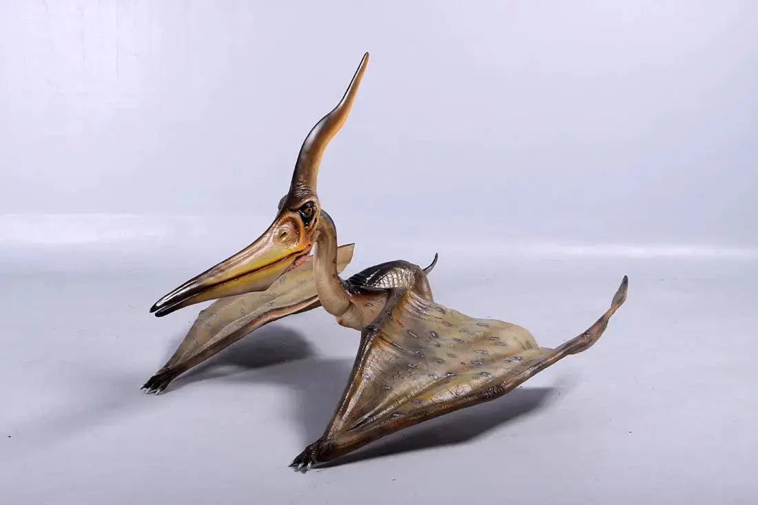 Standing Pteranodon Ingens Dinosaur Statue A0475-140072-H