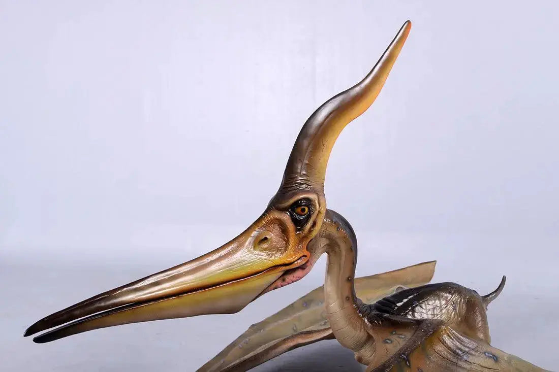 Standing Pteranodon Ingens Dinosaur Statue A0475-140072-H