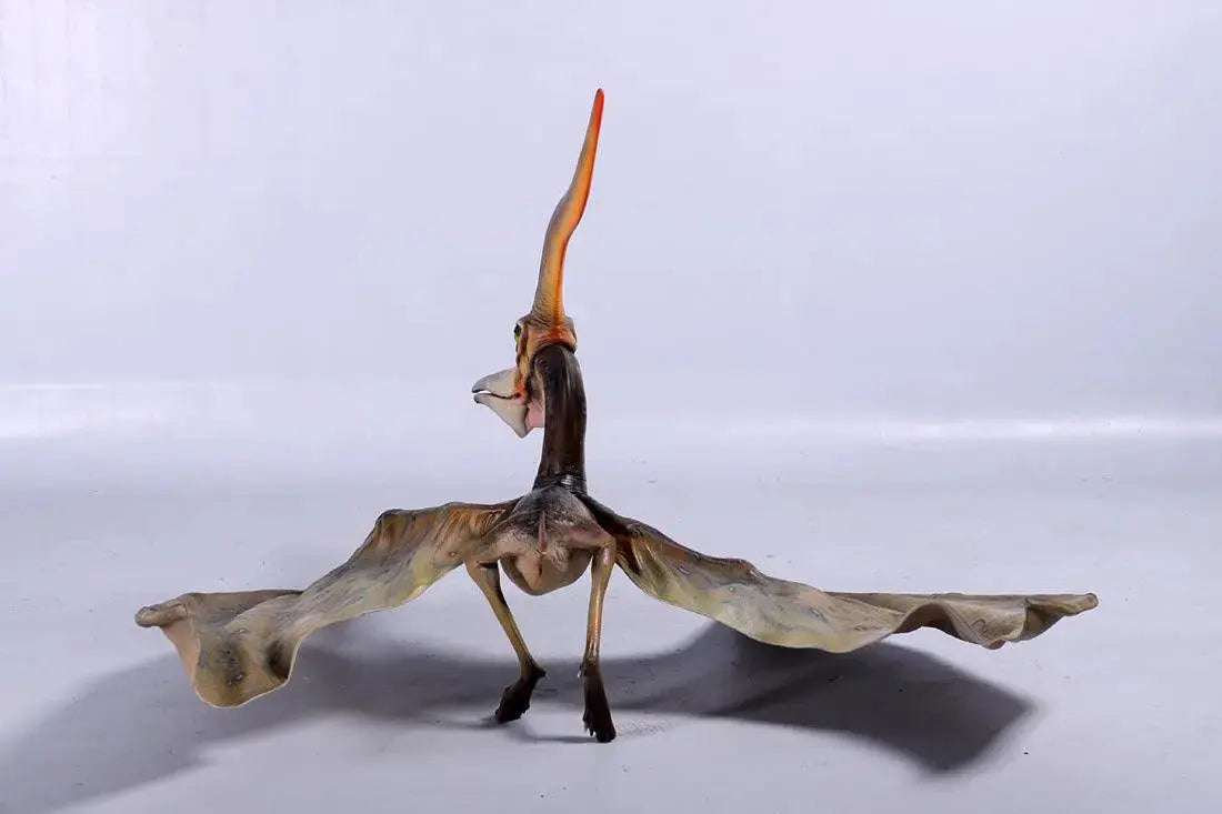 Standing Pteranodon Ingens Dinosaur Statue A0475-140072-H