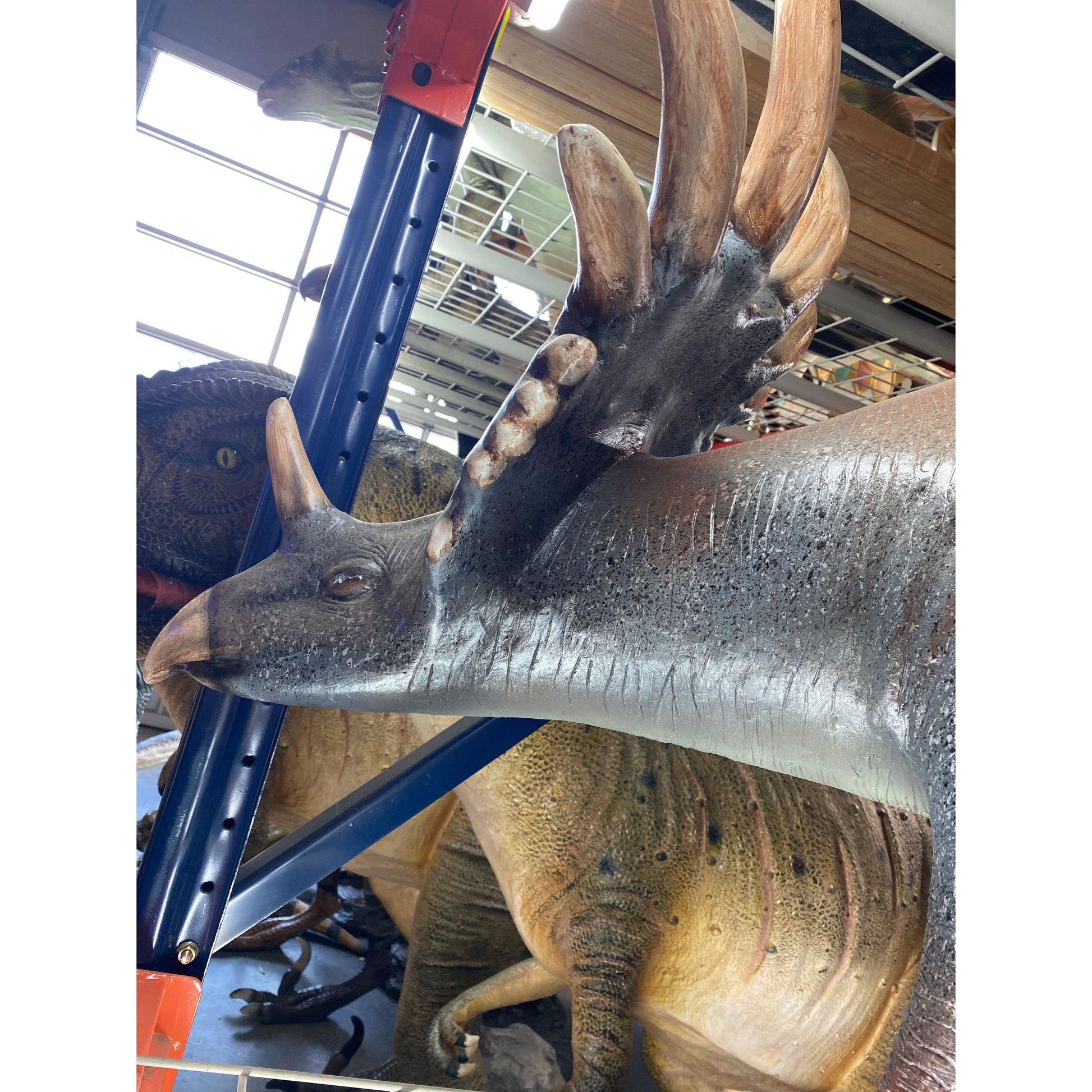 Baby Triceratops Dinosaur Life Size Statue - LM Treasures Prop Rentals 