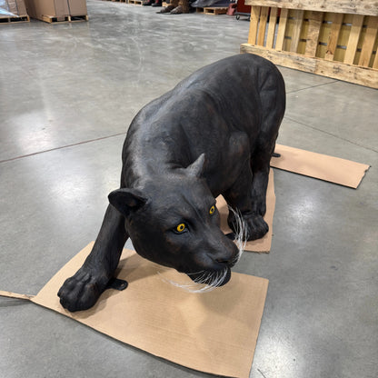 Black Panther Predator Statue A0899-150002-H