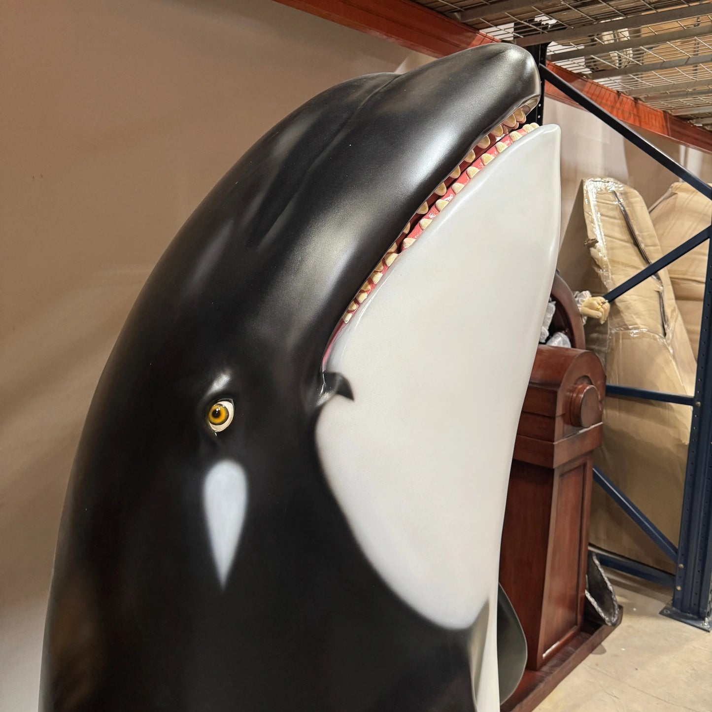 Breaching Orca Killer Whale Statue A0900-150004-H