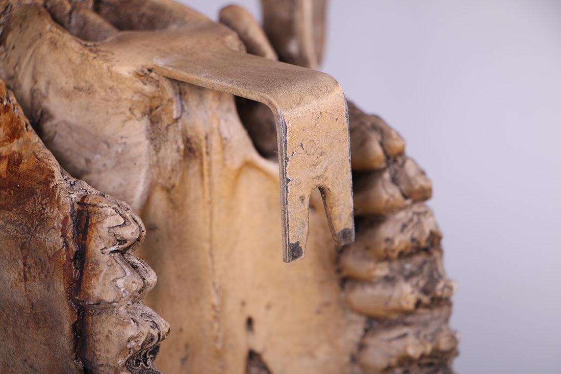 Bull Skull Statue