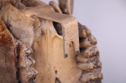 Bull Skull Statue