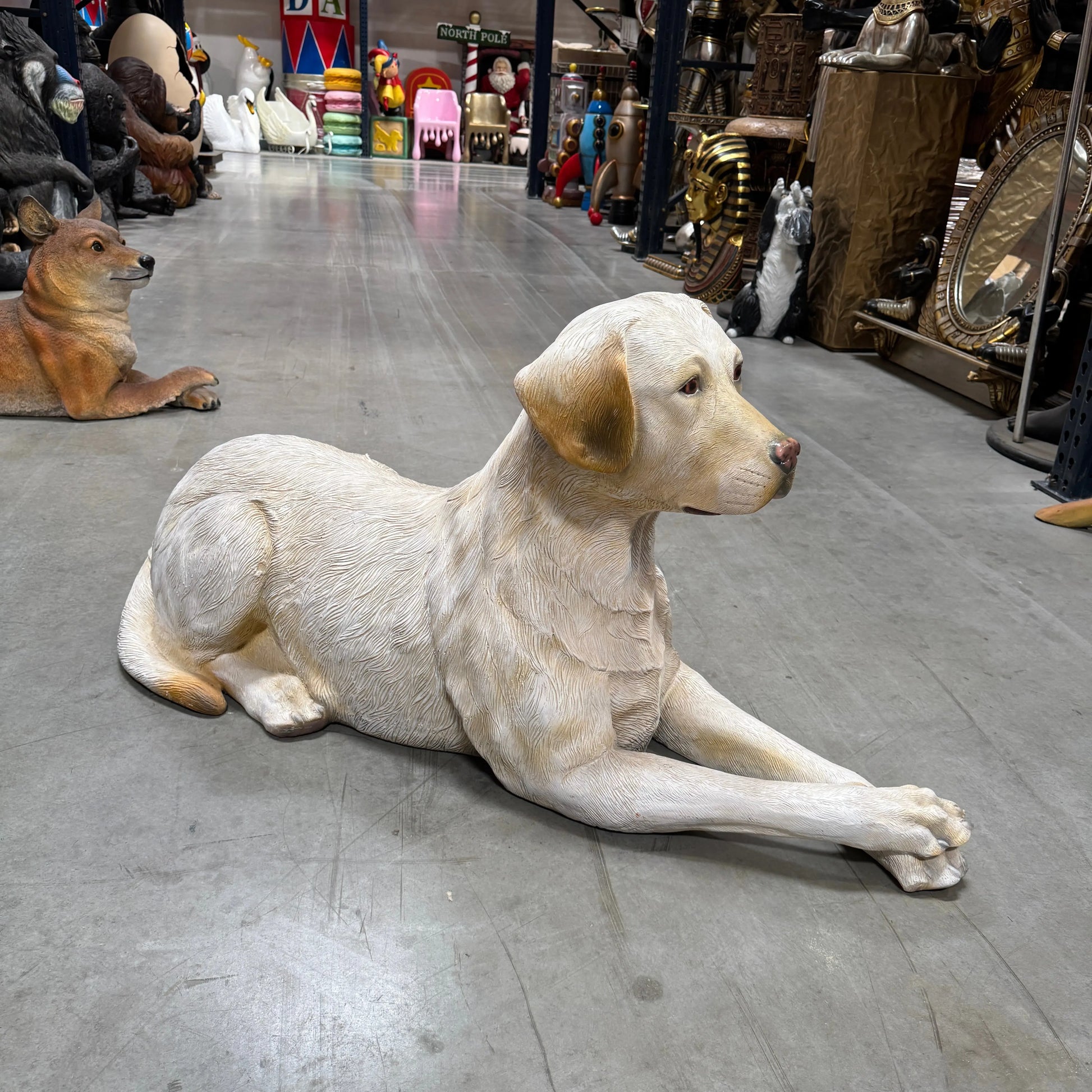 Tan Laying Labrador Life Size Statue A0508T-150251-H