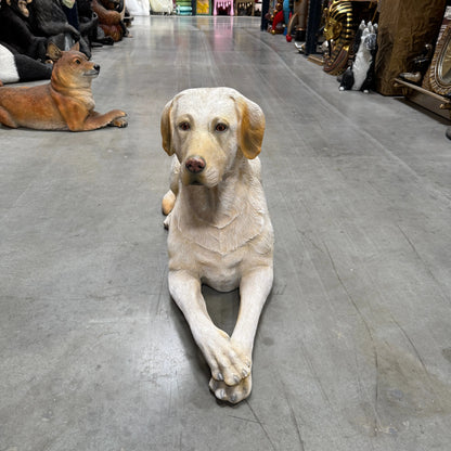 Tan Laying Labrador Life Size Statue A0508T-150251-H