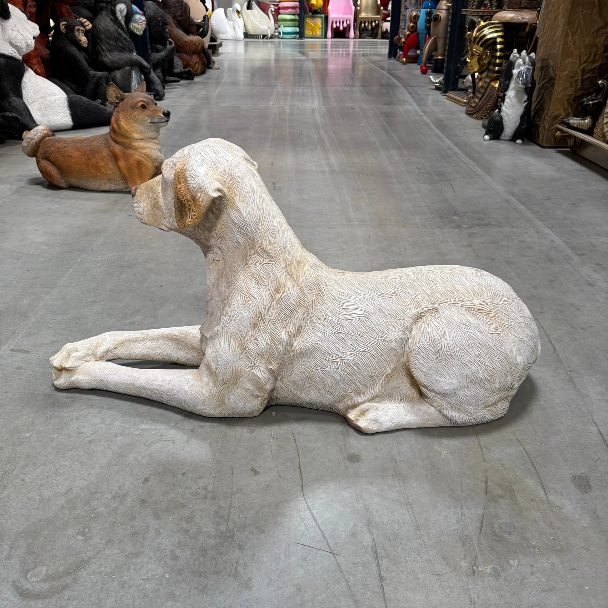 Tan Laying Labrador Life Size Statue A0508T-150251-H