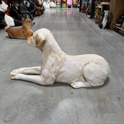 Tan Laying Labrador Life Size Statue A0508T-150251-H