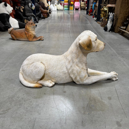 Tan Laying Labrador Life Size Statue A0508T-150251-H
