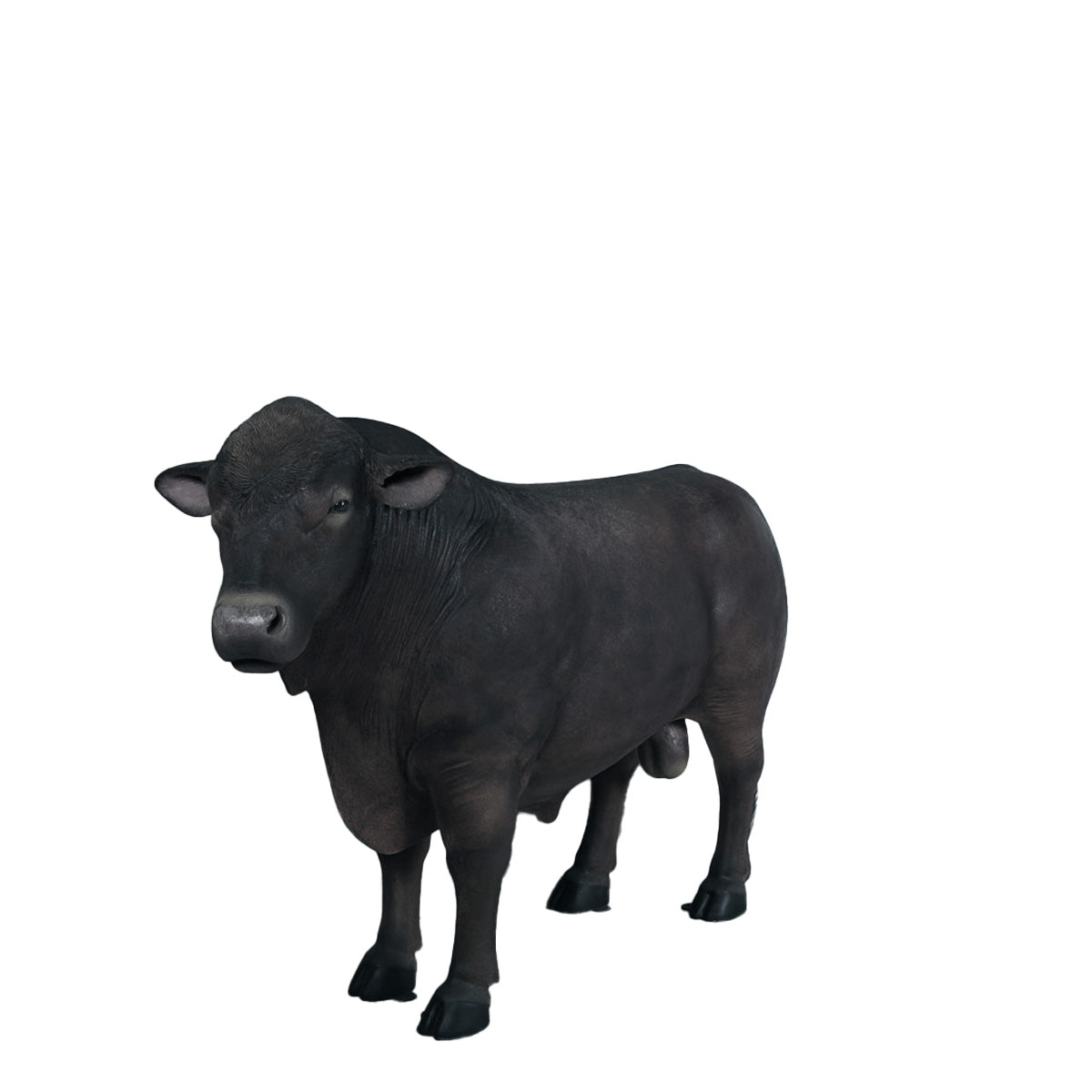 Black Angus Bull Cow Statue