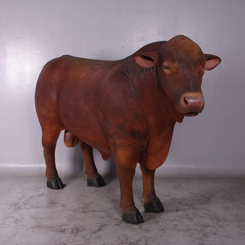 Angus Bull Cow Statue