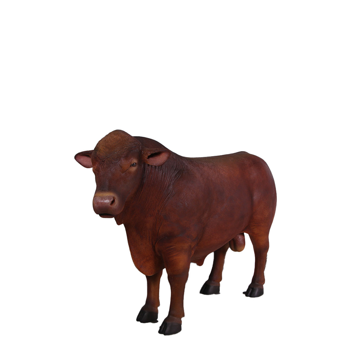 Angus Bull Cow Statue