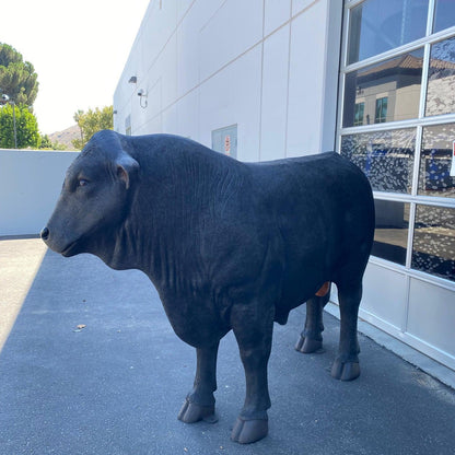 Black Angus Bull Cow Statue