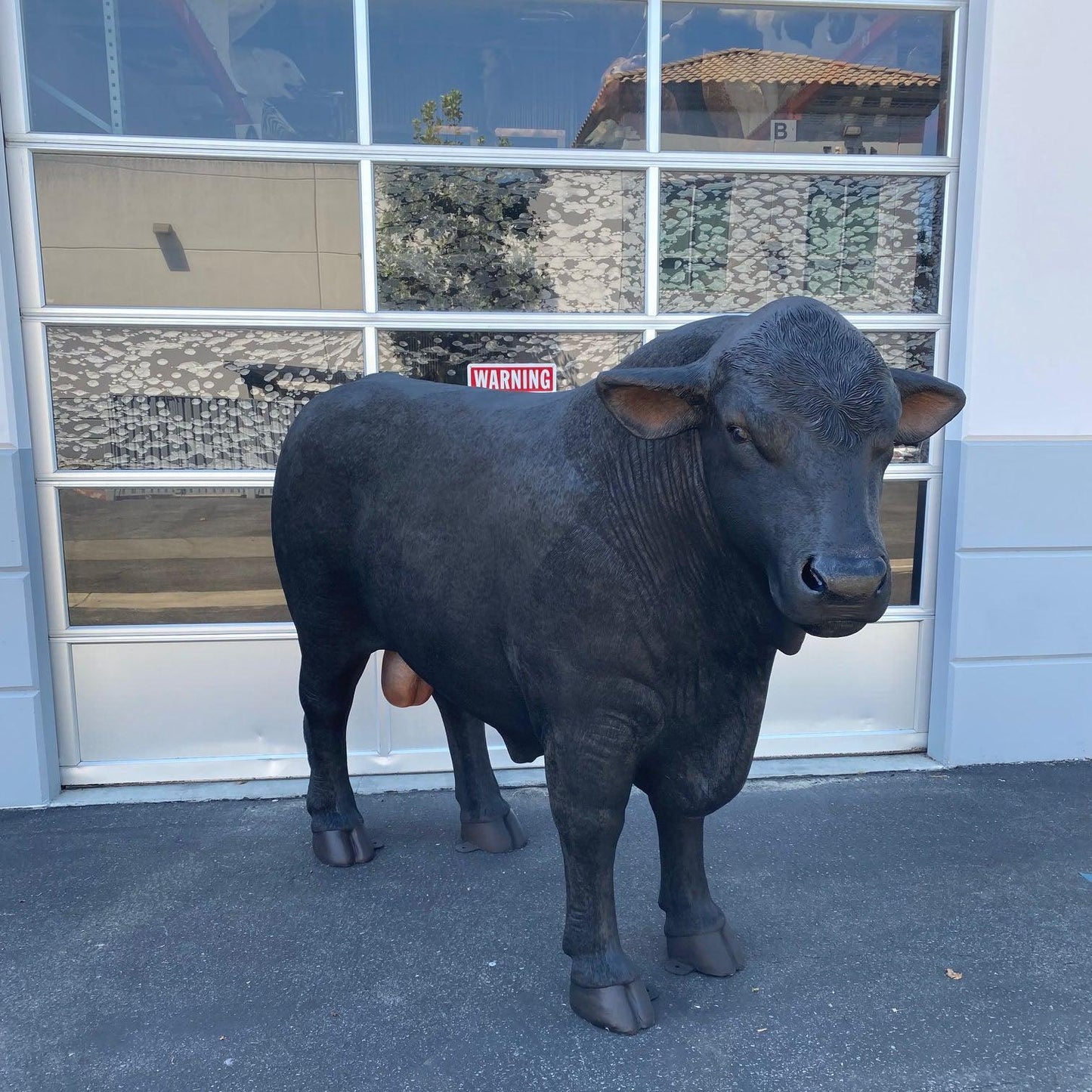 Black Angus Bull Cow Statue