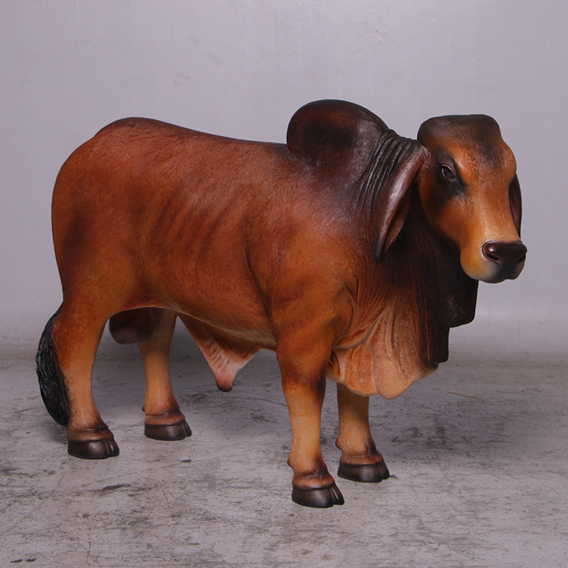 Brown Young Brahman Bull Statue