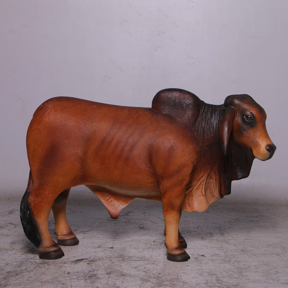 Brown Young Brahman Bull Statue