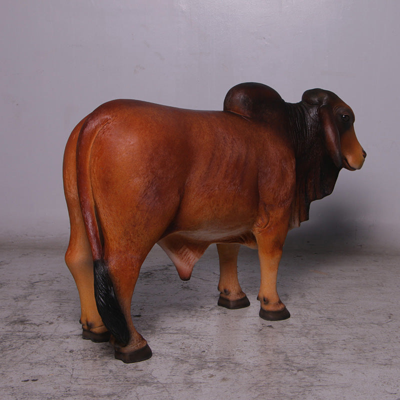 Brown Young Brahman Bull Statue