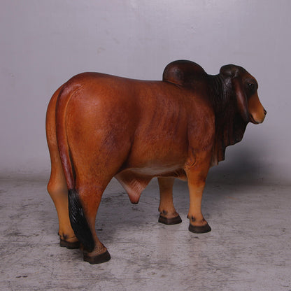 Brown Young Brahman Bull Statue