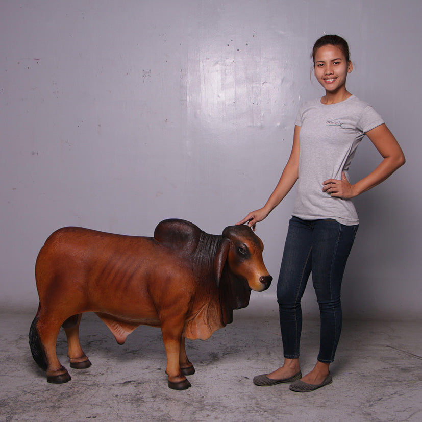 Brown Young Brahman Bull Statue