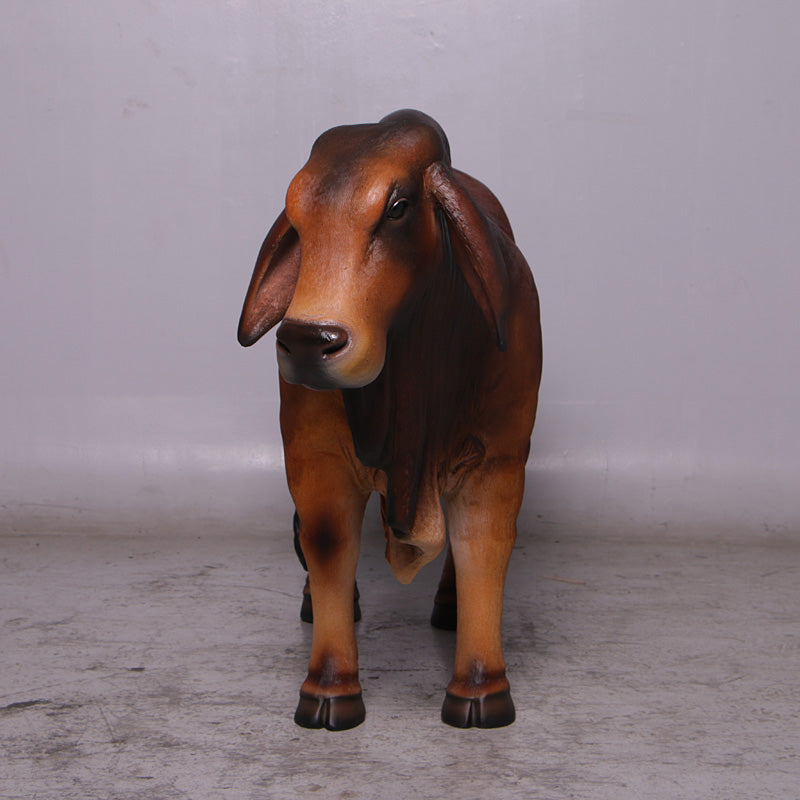 Brown Young Brahman Bull Statue