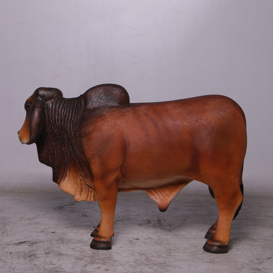 Brown Young Brahman Bull Statue