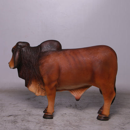 Brown Young Brahman Bull Statue