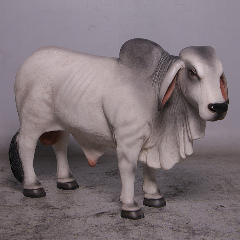 Gray Young Brahman Bull Statue