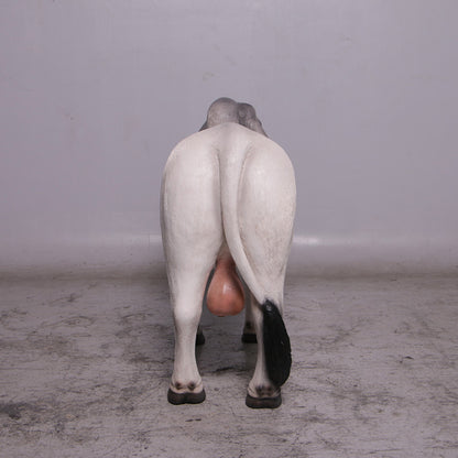Gray Young Brahman Bull Statue