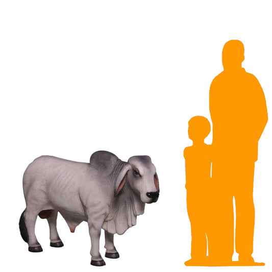Gray Young Brahman Bull Statue