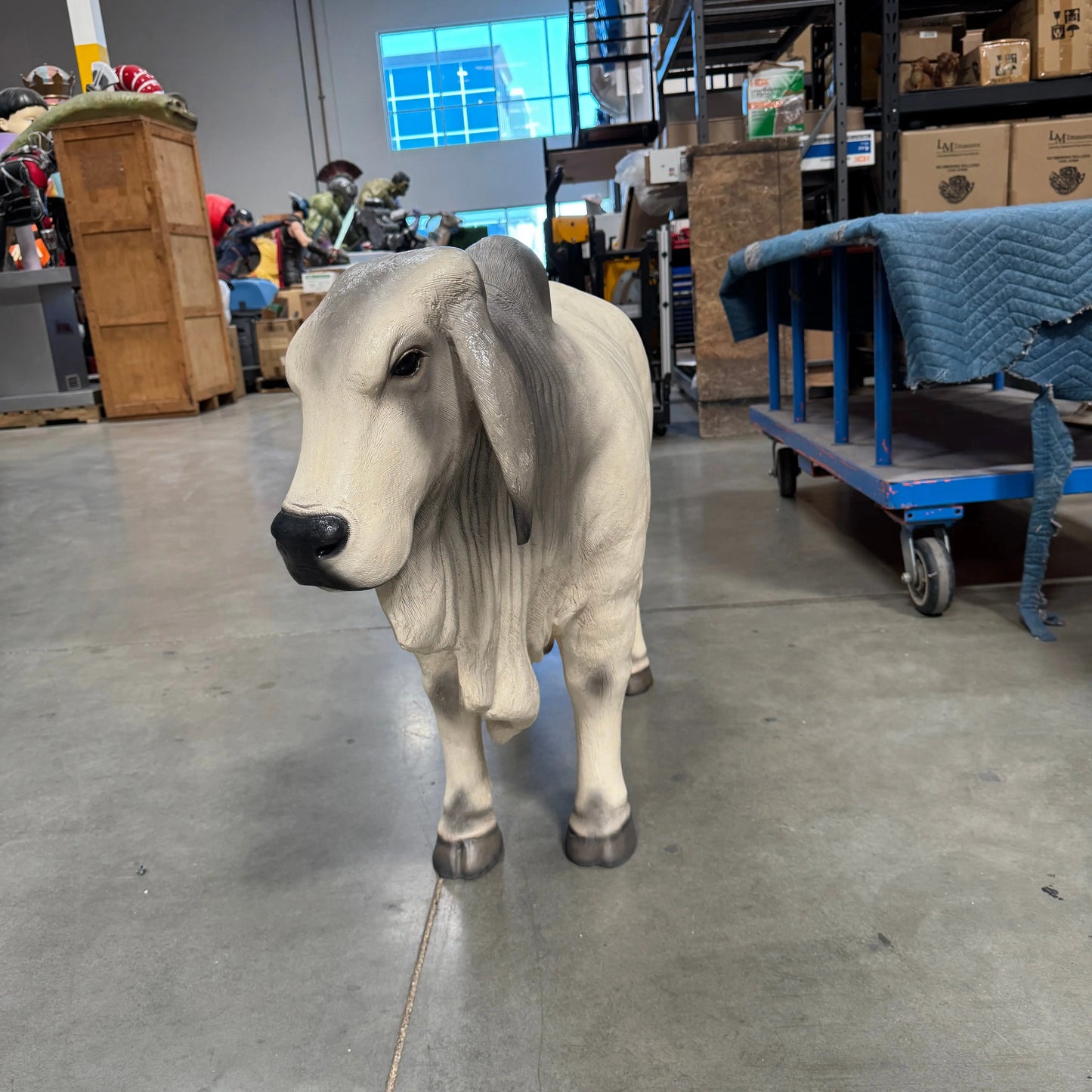 Gray Young Brahman Bull Statue A0884G-160001-H