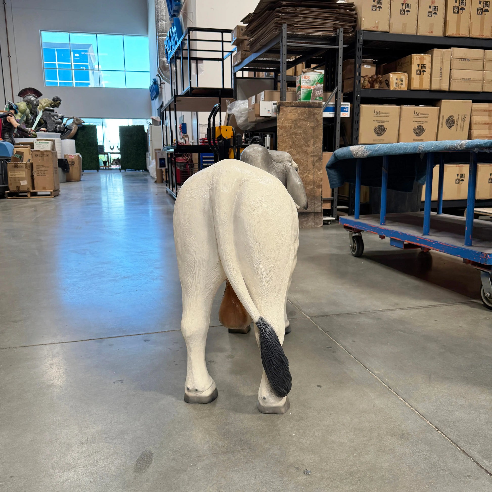 Gray Young Brahman Bull Statue A0884G-160001-H