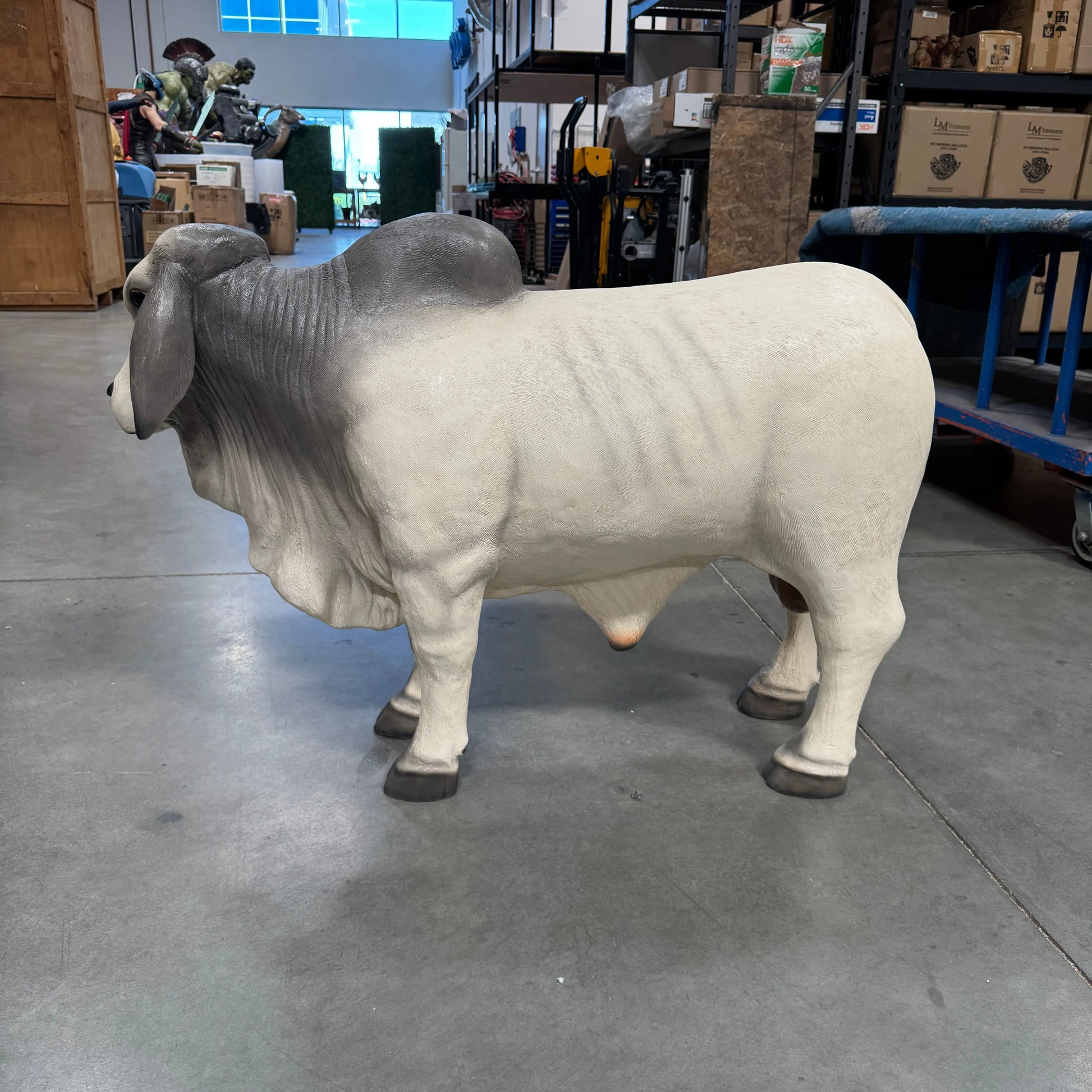 Gray Young Brahman Bull Statue A0884G-160001-H